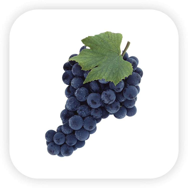 Cabernet Sauvignon Şaraplar